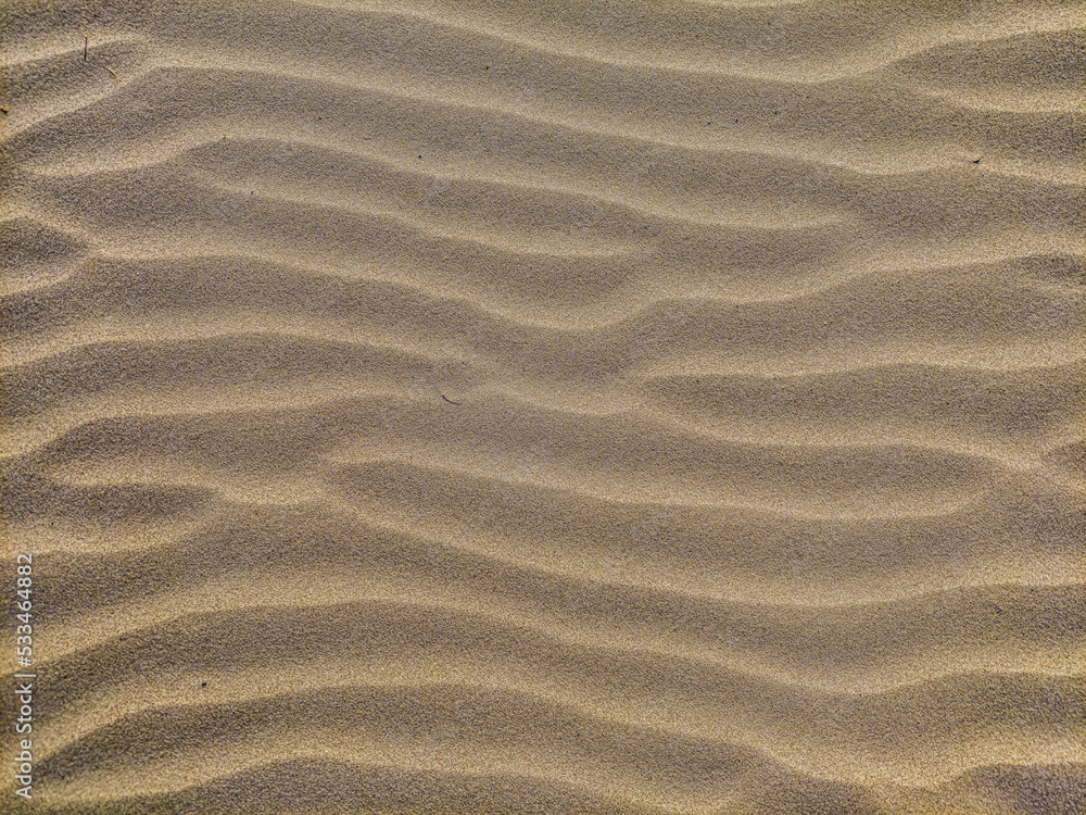 ripples in the sand ripples in the sand