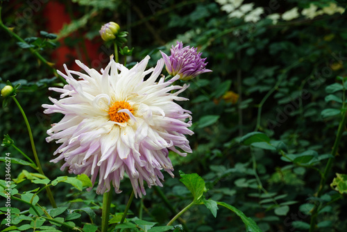 flowers at Gardens by the bay