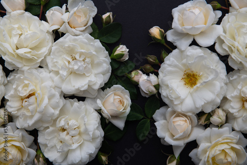 Lots of White Roses on Black Background