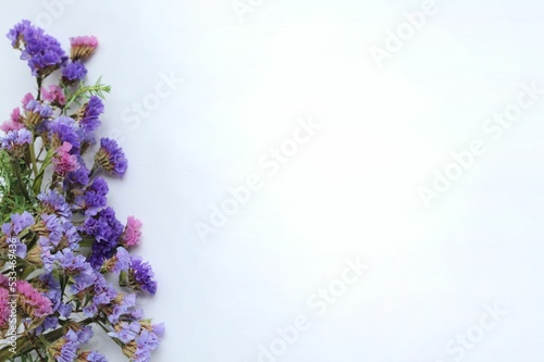 Lilac and pink flowers in a bouquet on a white background. Background for a greeting card.