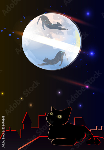 cat on the moon