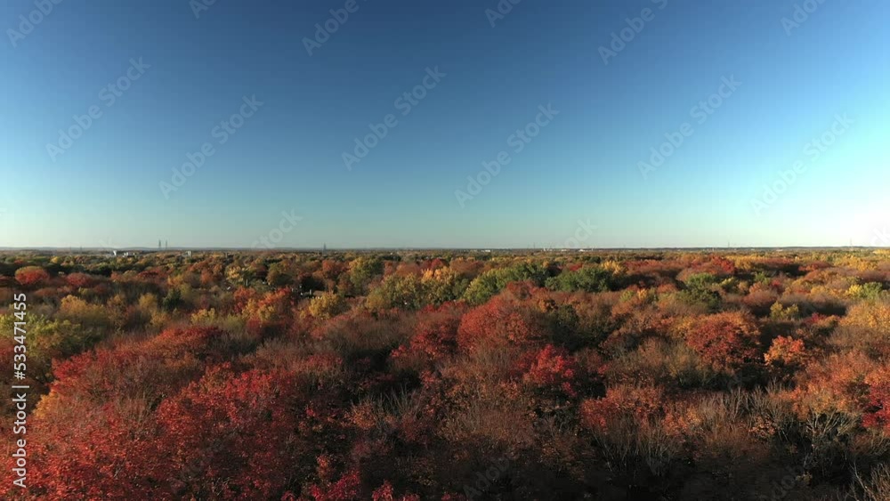 Aerial drone video moving forward way above the colorful trees of Bois de la Source in Autumn Aerial drone video moving forward way above the colorful trees of Bois de la Source in Autumn