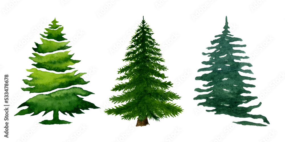 Watercolor christmas trees. Hand drawn evergreen tress illustration isolated on white background. Christmas tree clipart.
