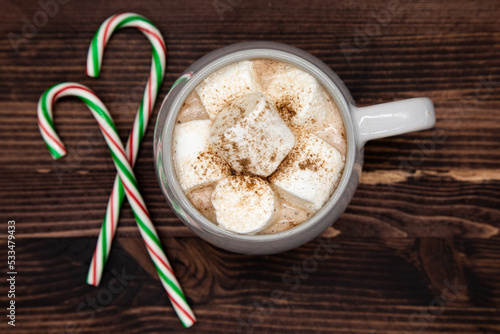 Hot chocolate with marshmallow and coco powder, candy cane pine cones, ribbon, pine needles, pine branch, dark wood, Christmas concept, top view.