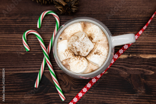 Hot chocolate with marshmallow and coco powder, candy cane pine cones, ribbon, pine needles, pine branch, dark wood, Christmas concept, top view.
