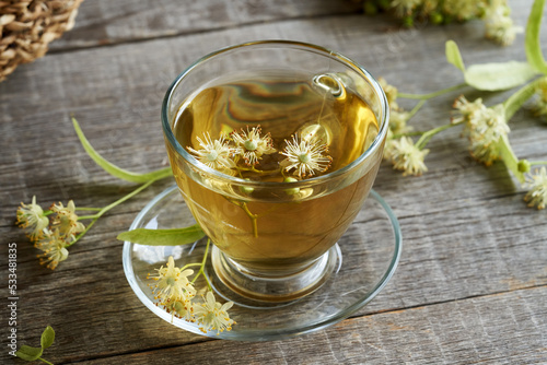 A cup of linden tea with fresh linden flowers in springtime