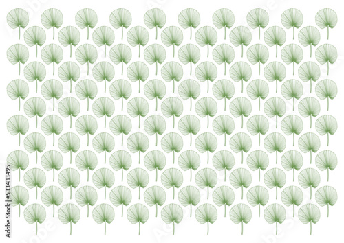 green leaves or fan palm leaves background