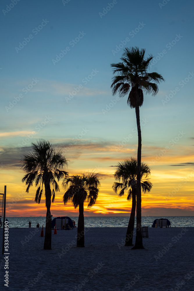 Obraz premium Palm trees at sunset