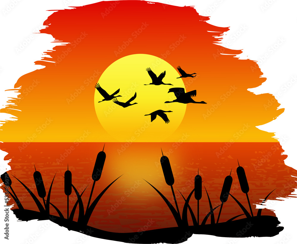 Illustration of a flock of cranes flying at sunset Illustration of a flock of cranes flying at sunset
