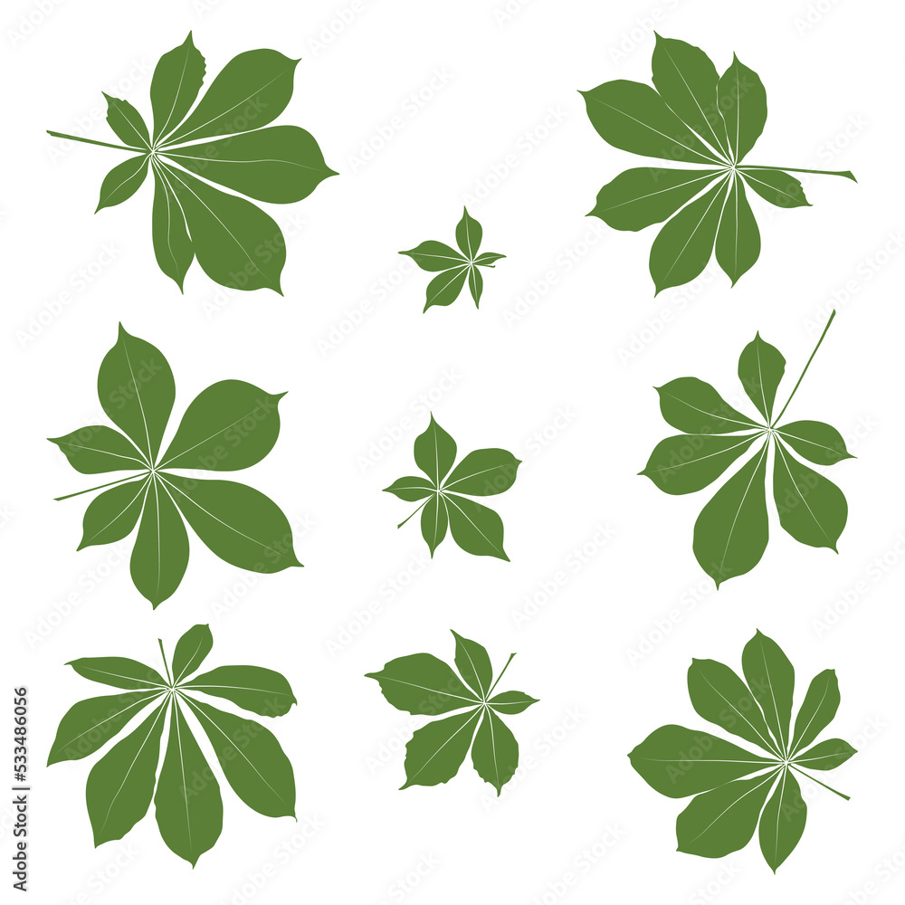 Set of vector chestnut leaf coloured silhouette icon. Simple chestnut leaves illustration for logo. Realistic hand drawn leaves illustration set on white background. Set of vector chestnut leaf coloured silhouette icon. Simple chestnut leaves illustration for logo. Realistic hand drawn leaves illustration set on white background.