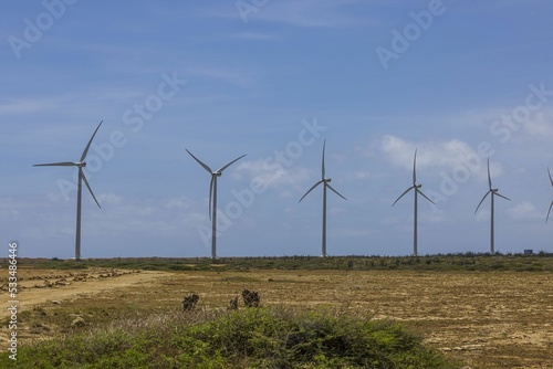 Beautiful view of windpower turbines on blue sky background. Aruba, East coast.