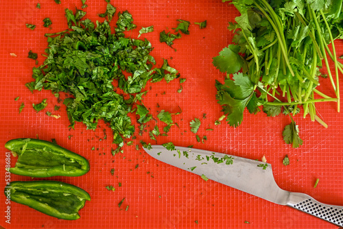 Cutting Board with Knife, Cilantro, and Jalapeño Peppers