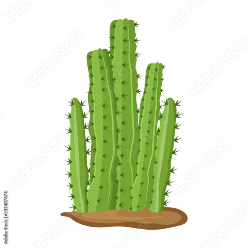 Cactus plant flat illustration, editable design 