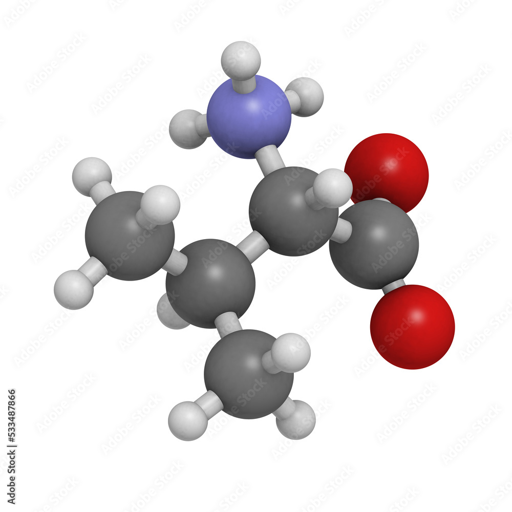 Valine (Val, V) amino acid, molecular model. Valine (Val, V) amino acid, molecular model.