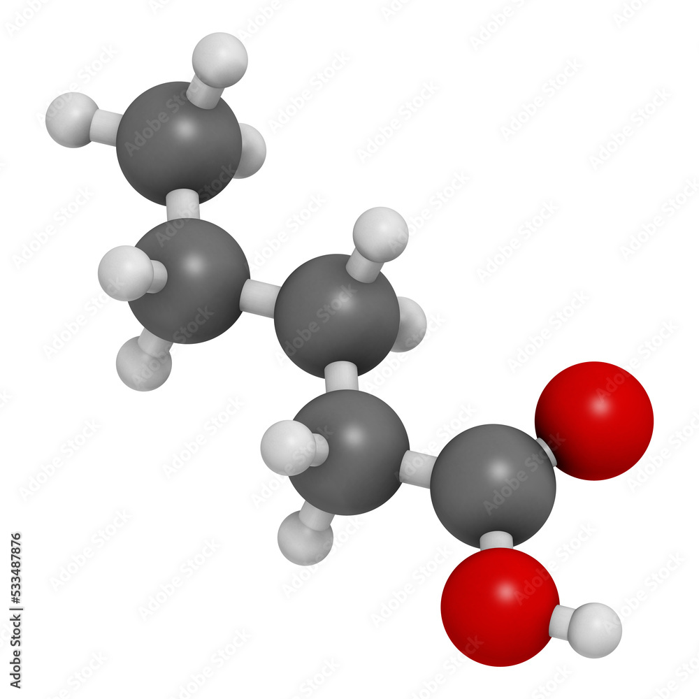 Valeric acid molecule. Smelly molecule, present in the plant valerian (Valeriana officinalis). Valeric acid molecule. Smelly molecule, present in the plant valerian (Valeriana officinalis).