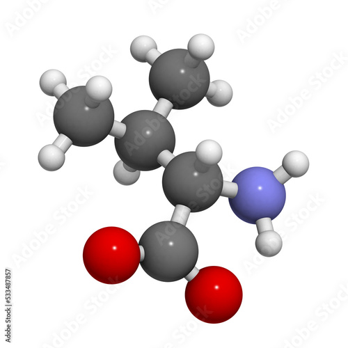 Valine  Val  V  amino acid  molecular model.