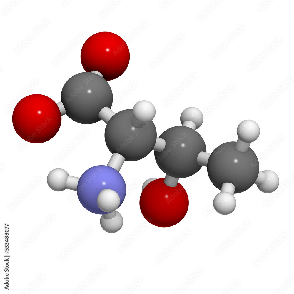 Threonine (Thr, T) amino acid, molecular model. Threonine (Thr, T) amino acid, molecular model.