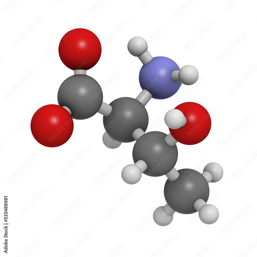 Threonine (Thr, T) amino acid, molecular model. Threonine (Thr, T) amino acid, molecular model.