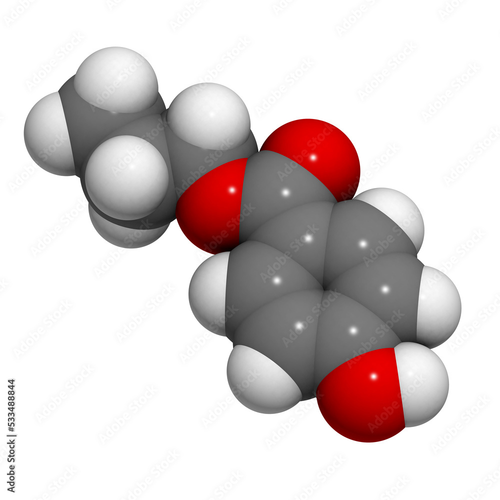 Propylparaben (paraben preservative, E216) molecule, chemical structure Propylparaben (paraben preservative, E216) molecule, chemical structure