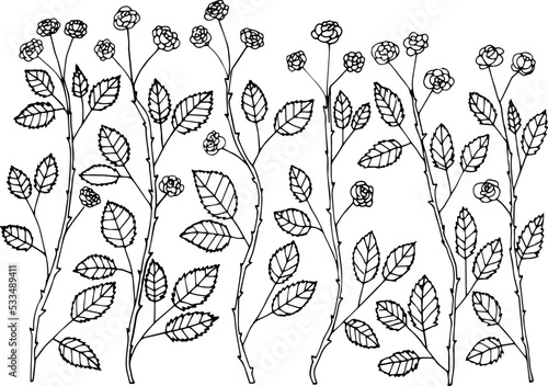 Vector hand drawing wild thickets of rose bushes. Rosehip bushes. Thorny roses.