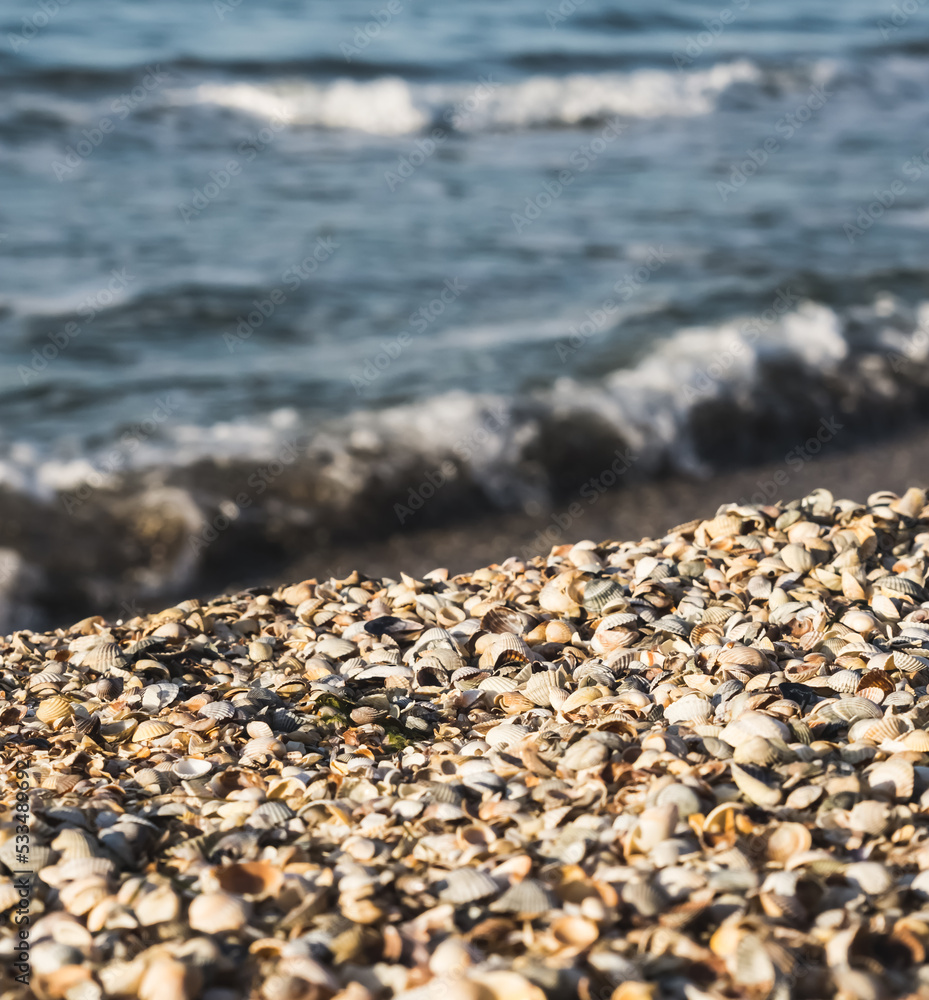 A continuous beach of shells turns into the stormy waters of the Black Sea in the evening soft lighting against the backdrop of a wave, on a warm summer evening A continuous beach of shells turns into the stormy waters of the Black Sea in the evening soft lighting against the backdrop of a wave, on a warm summer evening