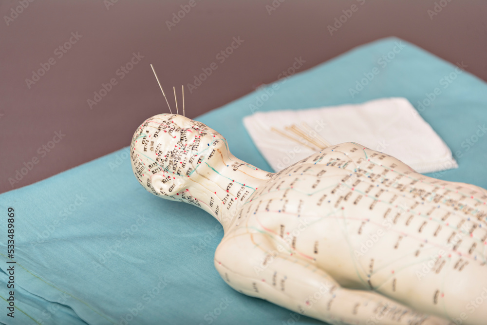 Obraz premium acupuncture model with needles in the head.