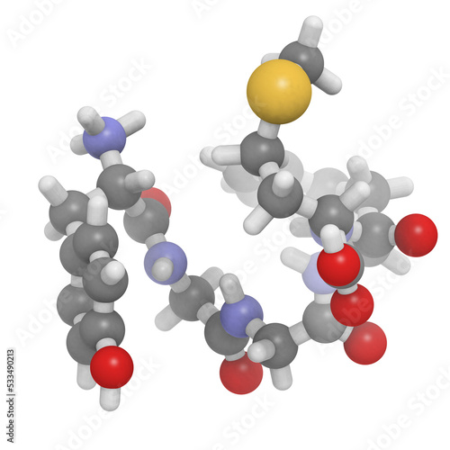 Enkephalin (Met-enkephalin) molecule, chemical structure. photo