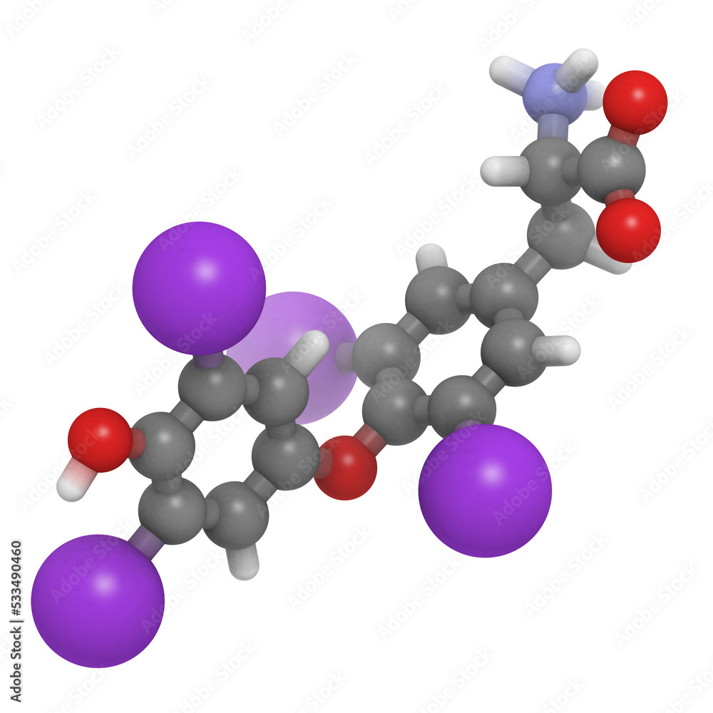 Thyroxine hormone molecule, chemical structure. Thyroxine hormone molecule, chemical structure.