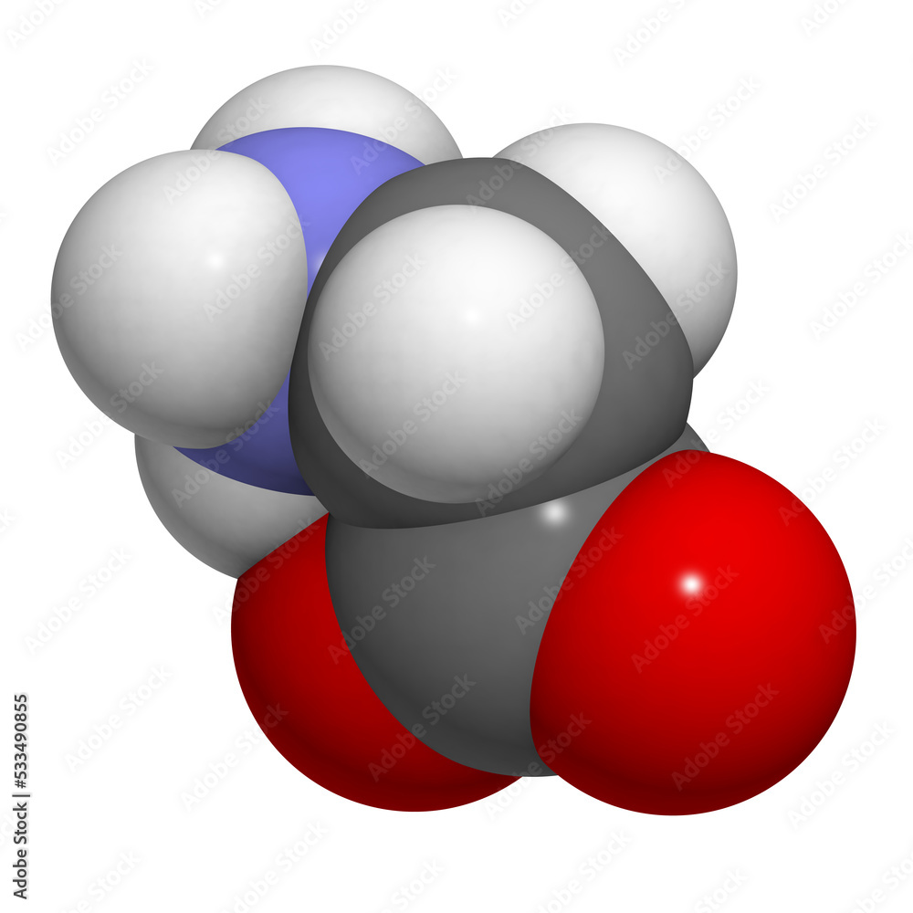 Glycine (Gly, G) amino acid, molecular model. Glycine (Gly, G) amino acid, molecular model.