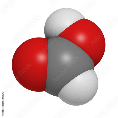 Formic acid ant sting chemical, molecular model. photo