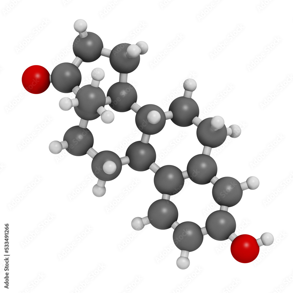 Estrone (oestrone) human estrogen hormone molecule. 3D rendering. Estrone (oestrone) human estrogen hormone molecule. 3D rendering.