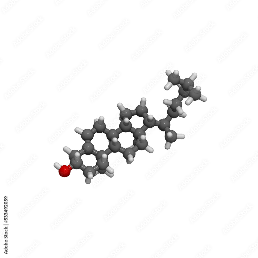 Cholesterol molecule. Essential component of cell membranes and precursor of steroid hormones