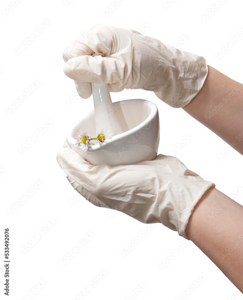 Fototapeta premium Hands in medical gloves and a medical mortar