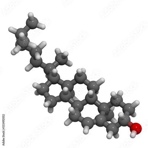 Cholesterol molecule. Essential component of cell membranes and precursor of steroid hormones, bile acids and vitamin D. 3D rendering. photo