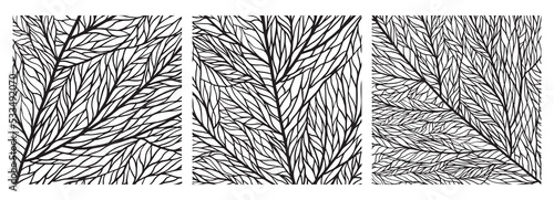 Set of leaf textures with veins and cells. Black and white close up leaf pattern. Leaf structure. Mosaic ornament of macro texture of plants