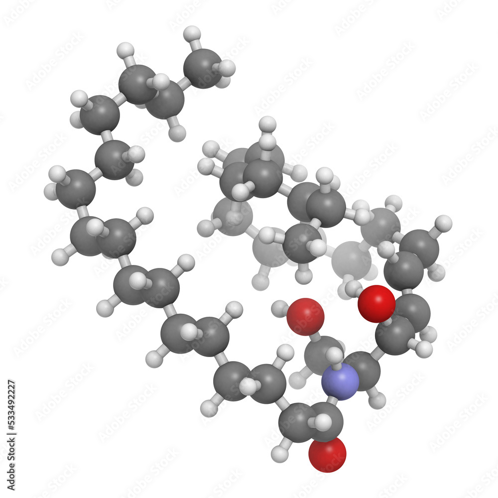 Ceramide cell membrane lipid, molecular model Ceramide cell membrane lipid, molecular model
