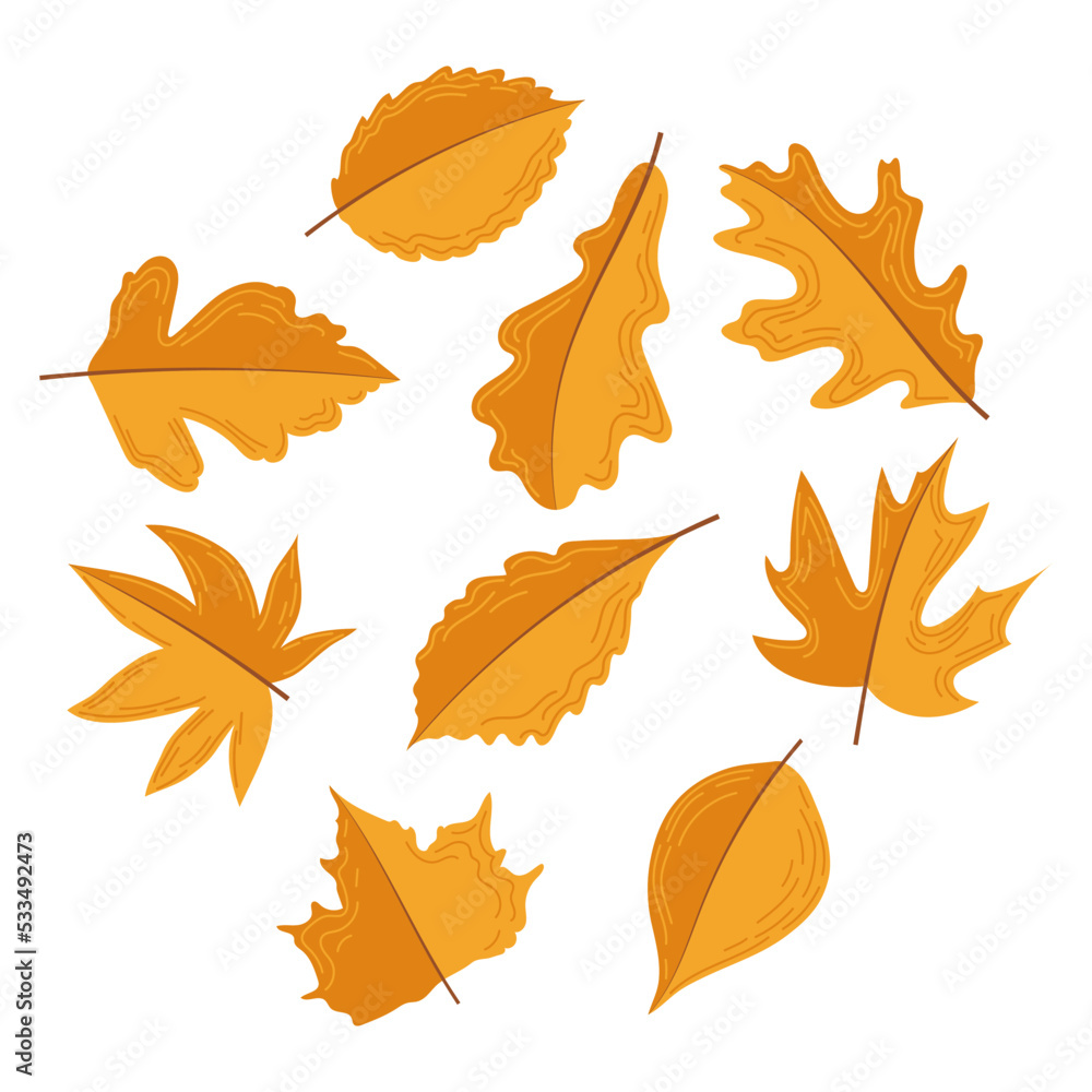 Obraz premium Leaves. Autumn set of leaves in flat style.