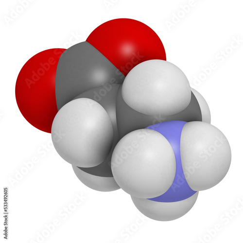 Beta-alanine molecule. Naturally occurring beta amino acid. Precursor of carnosine. Athletes often use beta-alanine supplements.