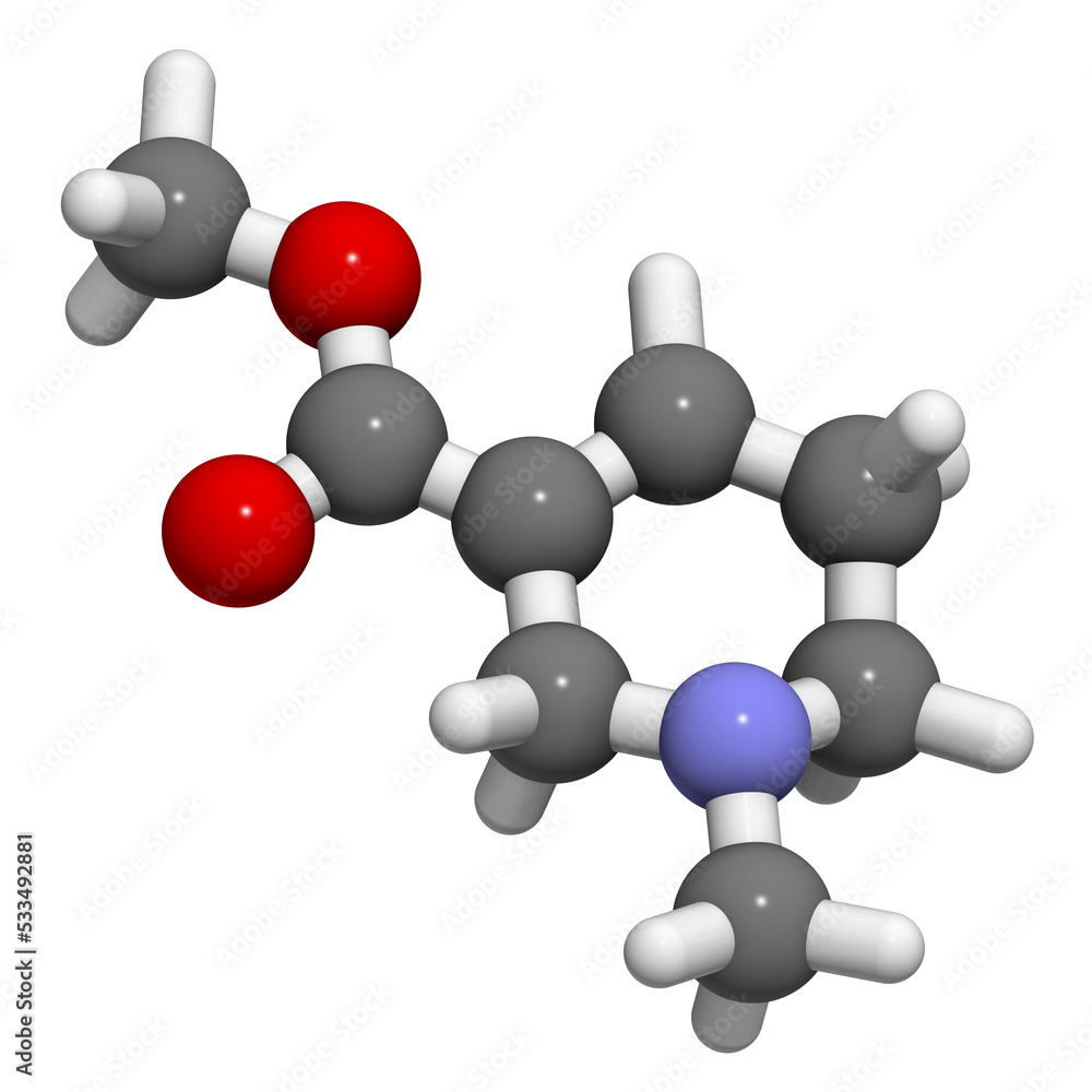 Arecoline areca nut stimulant compound, chemical structure. Arecoline areca nut stimulant compound, chemical structure.