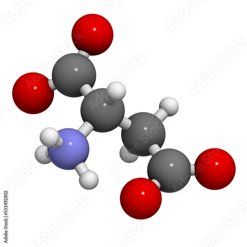Aspartic acid  Asp  D  aspartate amino acid  molecular model.