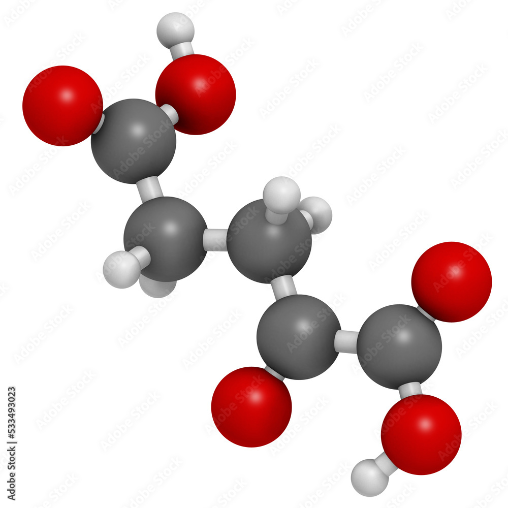 Alpha-ketoglutaric acid (ketoglutarate, oxo-glutarate). Intermediate molecule in the Krebs cycle. Found to prolong lifespan (in nematodes). Alpha-ketoglutaric acid (ketoglutarate, oxo-glutarate). Intermediate molecule in the Krebs cycle. Found to prolong lifespan (in nematodes).