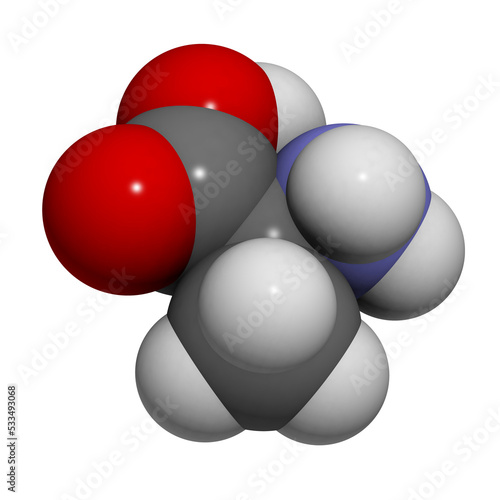 Alanine  Ala  A  Molecule