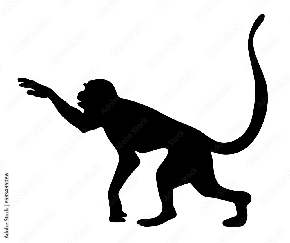 Isolated silhouette of a monkey. illustration of a little monkey.