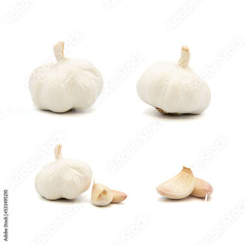 Garlic collection on white background