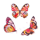 set of butterflies, watercolor