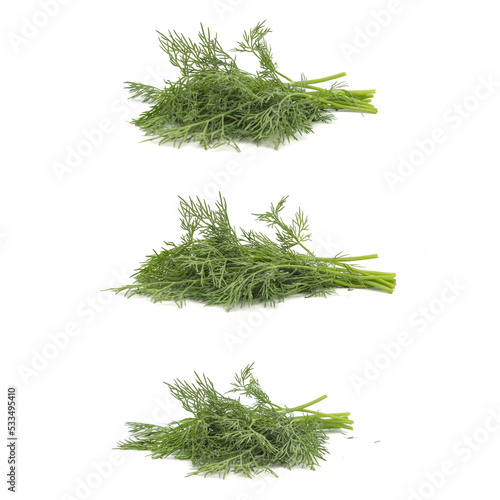 Dill collection on white background