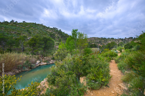 Beautiful nature landscape with a small lake. Green pond and stones. 