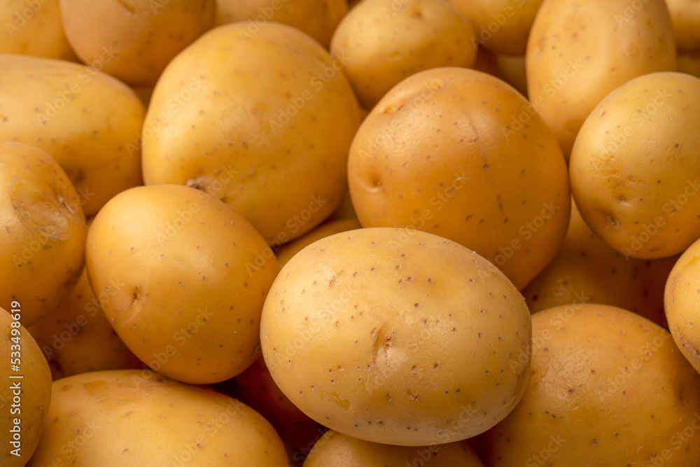A group of fresh tasty potato as background. A group of fresh tasty potato as background.