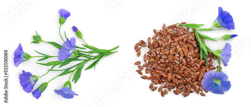 Flowers seed flax or Linum usitatissimum isolated on white background . Top view, flat lay photo