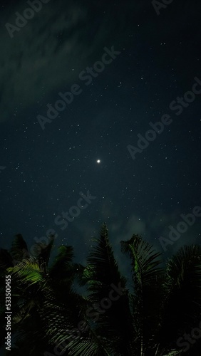 Bright shiny jupiter planet close near earth in dark black and blue starry night space sky background with tropical coconut palm tree leaves Nightscape, stargazing, starlight and constellation concept